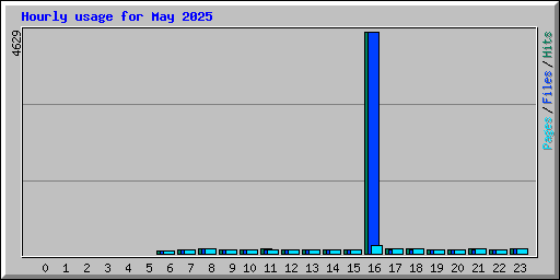 Hourly usage for May 2025