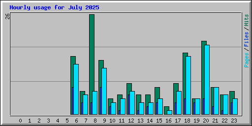 Hourly usage for July 2025
