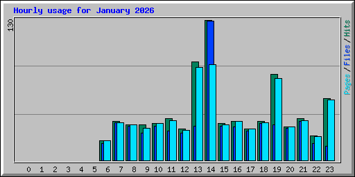 Hourly usage for January 2026